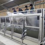 40. Equine Therapy Barn mini
